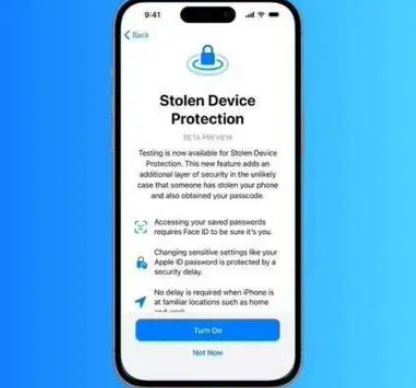 龙马潭苹果授权维修店分享被盗设备保护功能开启方法