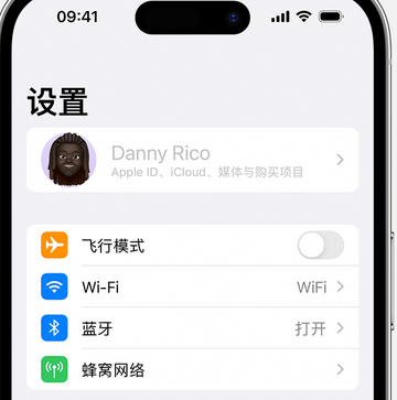 龙马潭appleID维修服务iPhone设置中Apple ID显示为灰色无法使用 