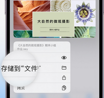 龙马潭apple维修中心分享iPhone文件应用中存储和找到下载文件