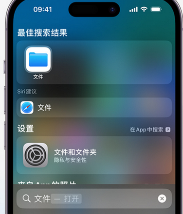 龙马潭apple维修中心分享iPhone文件应用中存储和找到下载文件 