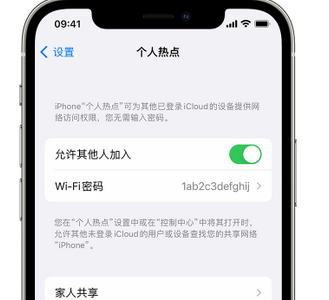 龙马潭apple服务站点分享iPhone上个人热点丢失了怎么办