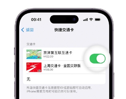 龙马潭apple维修点分享iPhone上更换Apple Pay快捷交通卡手绘卡面 