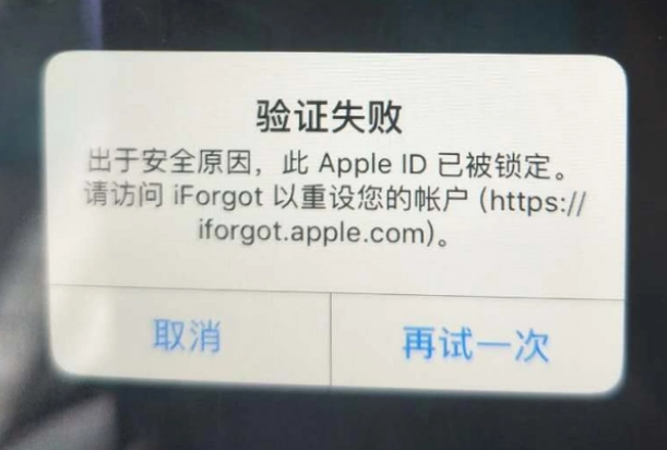 龙马潭iPhone维修分享iPhone上正常登录或使用AppleID怎么办 