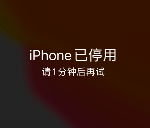 龙马潭苹果手机维修分享:iPhone 显示“不可用”或“已停用”怎么办？还能保留数据吗？ 