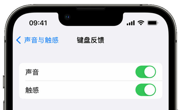 龙马潭苹果手机维修分享iPhone 14触感键盘使用方法 