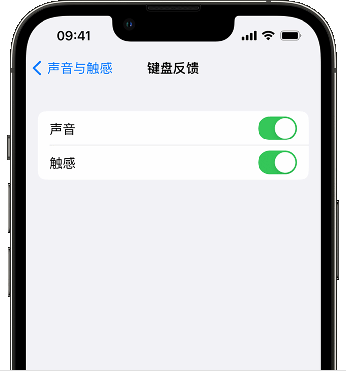 龙马潭苹果14维修店分享如何在 iPhone 14 机型中使用触感键盘 