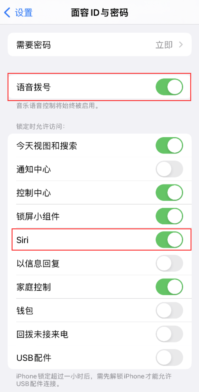 龙马潭苹果维修网点分享不解锁 iPhone 的情况下通过 Siri 拨打电话的方法 