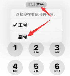 龙马潭苹果14维修店分享iPhone 14 Pro Max使用副卡打电话的方法 