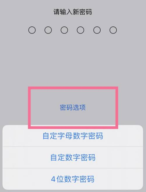 龙马潭苹果14维修分享iPhone 14plus设置密码的方法 