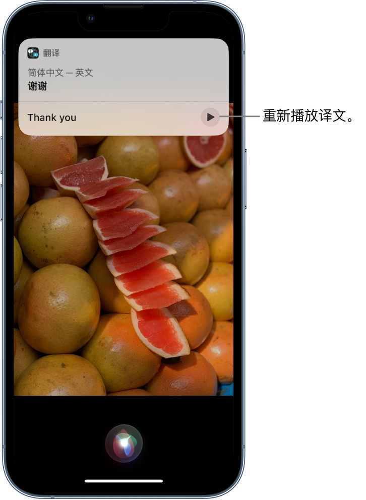 龙马潭苹果14维修分享 iPhone 14 机型中使用 Siri：了解 Siri 能帮你做什么 