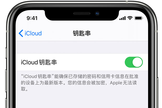 龙马潭苹果手机维修分享在 iPhone 上开启 iCloud 钥匙串之后会储存哪些信息 