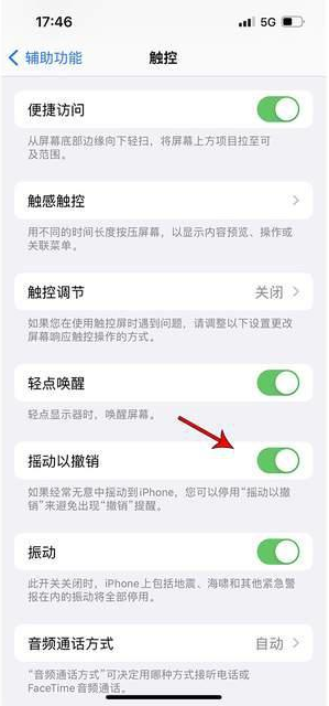 龙马潭苹果手机维修分享iPhone手机如何设置摇一摇删除文字 